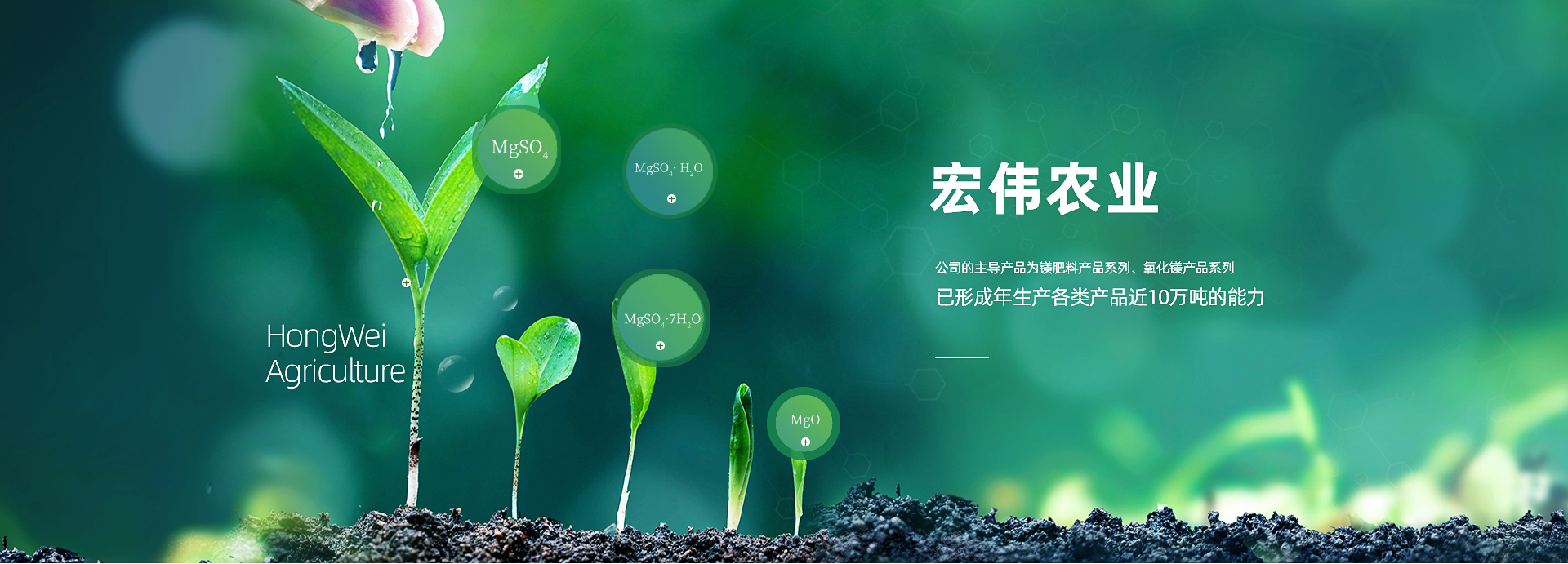 http://www.agri-hongwei.com/data/upload/201912/20191216120131_652.jpg